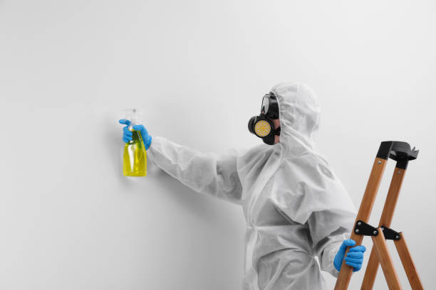 Professional Mold Removal Services in Durham, NC